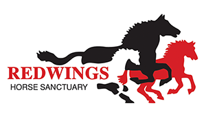 ClientSlider_Redwings