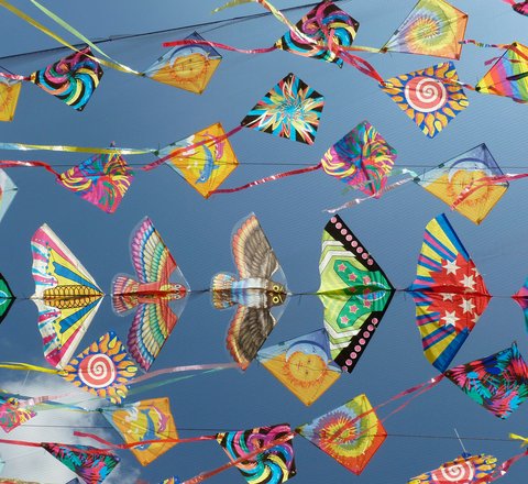 agnieszka-ziomek-uCyX_xn8Y1I-unsplash