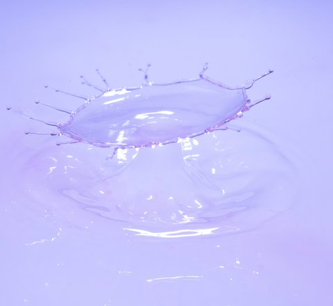 robert-anderson-guubZ-dQ0VE-unsplash